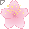 kafelek - kursory - Kwiat wiśni