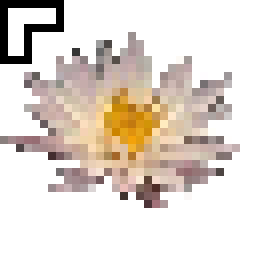 cursor lotos - zoom