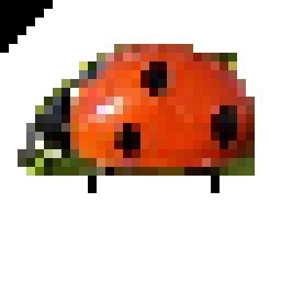 cursor ladybuggy - zoom