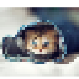 cursor kotek w skarpecie - zoom