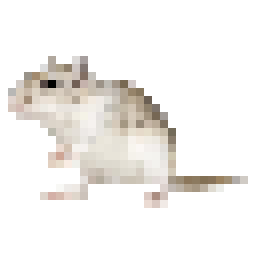 cursor myszoskoczek - zoom
